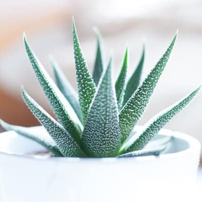 20 Ways to Reduce Stress and Anxiety