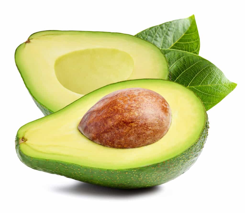 Avocado